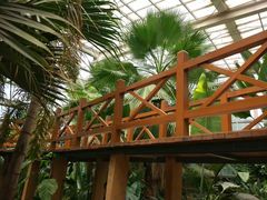 -石家庄市植物园