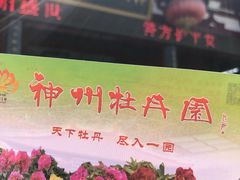 -神州牡丹园