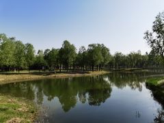 -东郊湿地公园