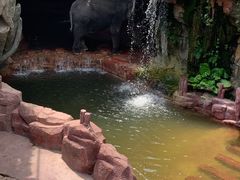 -长鹿旅游休博园