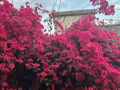 -鹅滋道(甘坑古镇店)