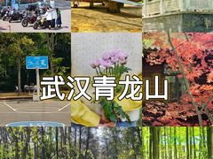 -青龙山国家森林公园