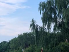 -长白岛森林公园