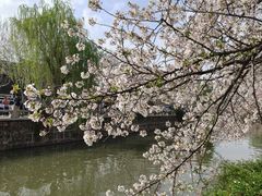 -常熟方塔园