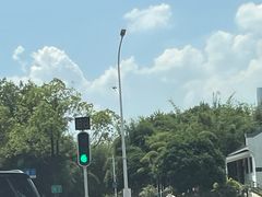-一棠龙虾•王牌虾球(楚河汉街店)
