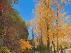 -云蒙山风景区