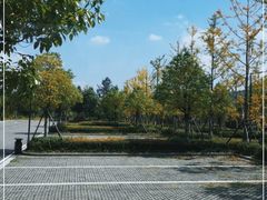 -刘伯温故里景区百丈漈
