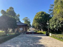 -长田漾湿地公园