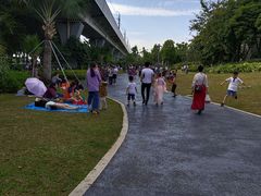 -宝安西湾红树林湿地公园