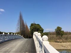 -同里国家湿地公园