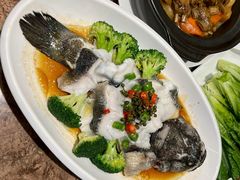 -顺意·顺德家乡菜(国际人才大厦店)