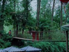 -合肥滨湖国家森林公园