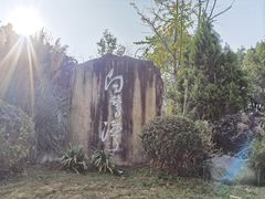 -白鹭湾湿地公园