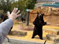 -南京金牛湖风景区