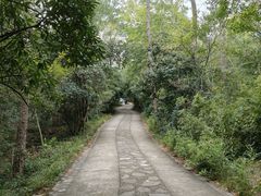 -灵谷景区