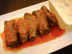 -Efes Turkish & Mediterranean Cuisine 艾菲斯餐厅(陆家嘴店)