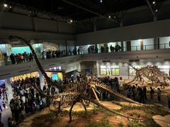 -自贡恐龙博物馆