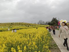 -三圣花乡旅游区