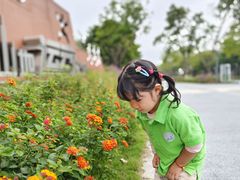 -宾果蒙特梭利托育儿童之家幼儿园(爱琴海店)