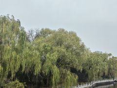-迎泽公园