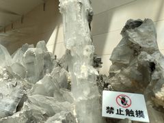 -安徽省地质博物馆