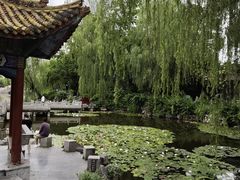 -文瀛公园