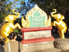 -西双版纳傣族园