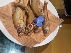 -金博士朝鲜民族餐厅(工大店)
