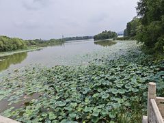 -东湖落雁景区