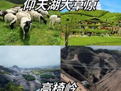 -仰天湖大草原