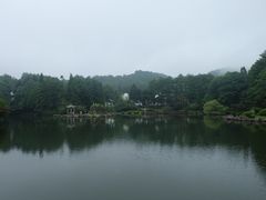 -四明山国家森林公园