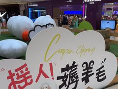 -阳光天地
