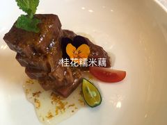 -唐阁海景中餐厅·早茶·粤菜•生日聚餐(海口朗廷酒店)