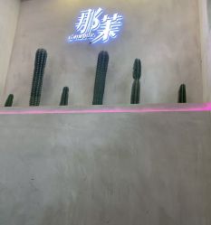 -变画·发型STUDIO