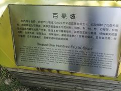 -青枫公园