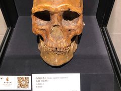 -北京周口店北京人遗址博物馆