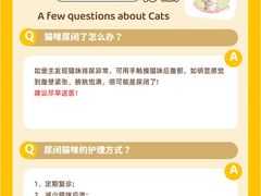 -lincat·猫舍(广州店)