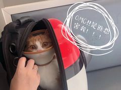 -关爱宠物医院·猫科中心·消化科(滨湖万达分院)