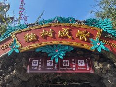 -瑞丽独树成林风景区