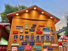 -布尔津河堤夜市
