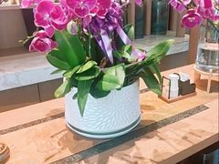 -连鹭海鲜·海肠捞饭·海胆饭(星海店)