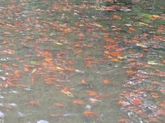-水磨沟公园