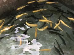 -京北渔家傲