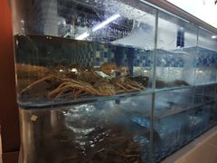 -碗中海·蒸汽海鲜·桑拿鸡(岭南天地店)