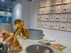 -柴务处·柴犬主题狗咖