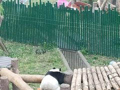 -沈阳森林动物园