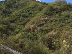 -仙居谷风景区