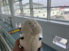 -银川河东国际机场