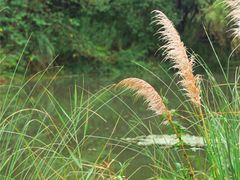 -梁鸿国家湿地公园