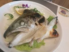 烤三文鱼头-佰禾寿司(学府凯德店)